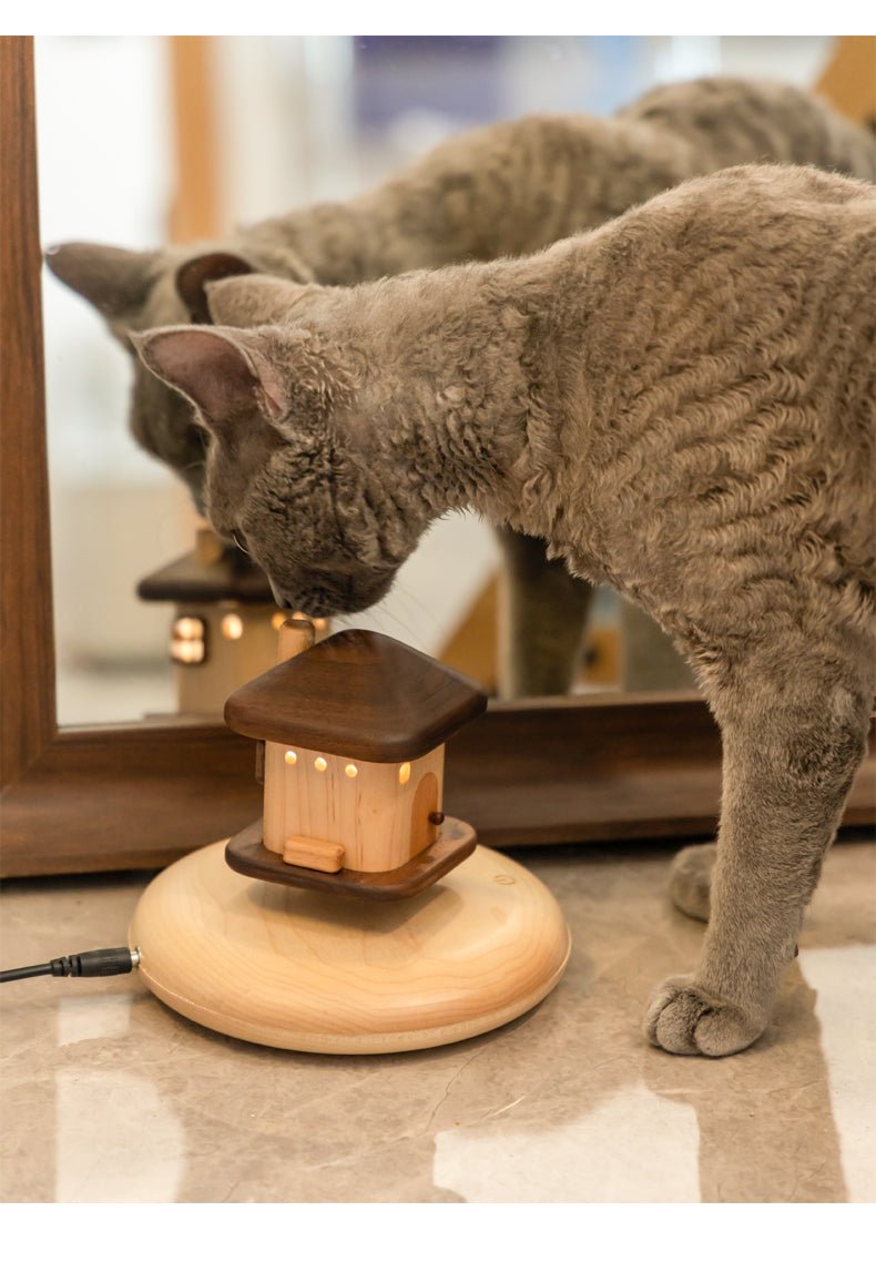 Magnetic Levitation Wooden Cottage: Handcrafted Tradition Meets Modern Innovation - WOOD KONG